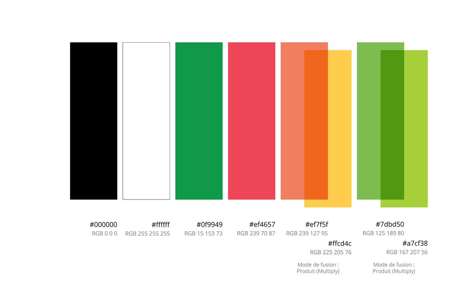 Palette principale avec valeurs HEX et RGB.